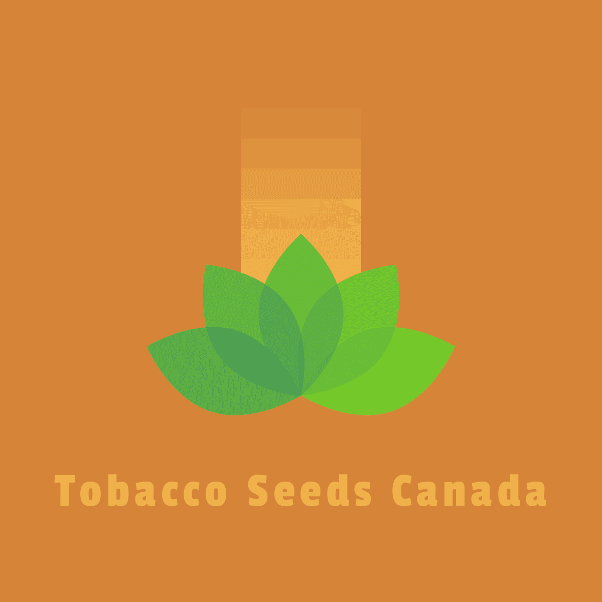 Tobacco Seeds Canada